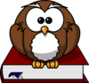 Cartoon Owl Sitting On A Book Clip Art